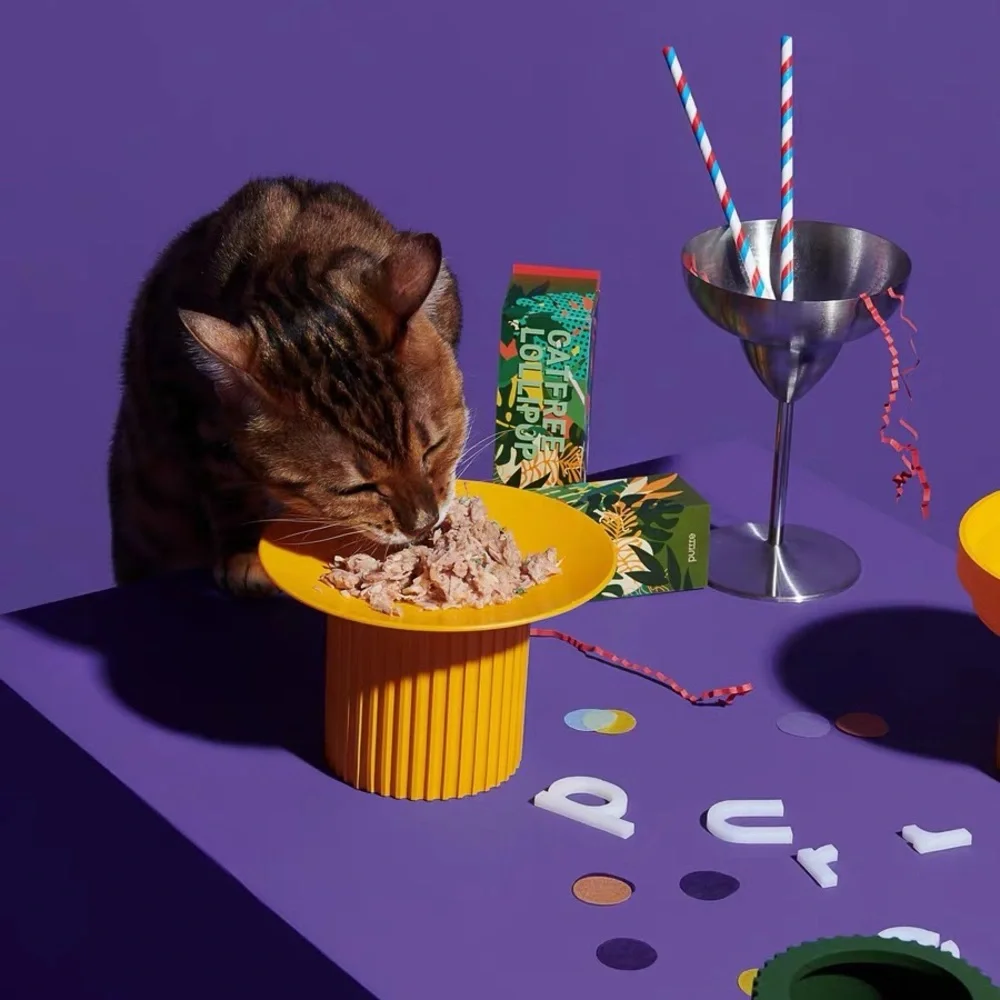 Purrre elevated pet bowl protecting cervical spine & prevent spilling food